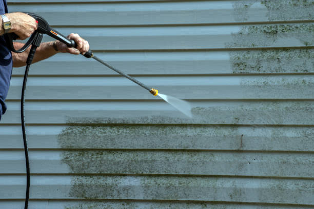 Best Roof Washing  in Picayune, MS